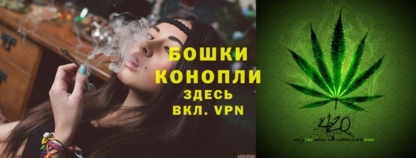соль ск Бронницы