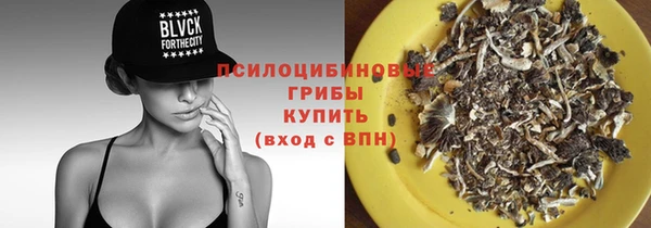 героин Богданович
