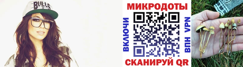 Галлюциногенные грибы MAGIC MUSHROOMS  закладка  Бронницы 