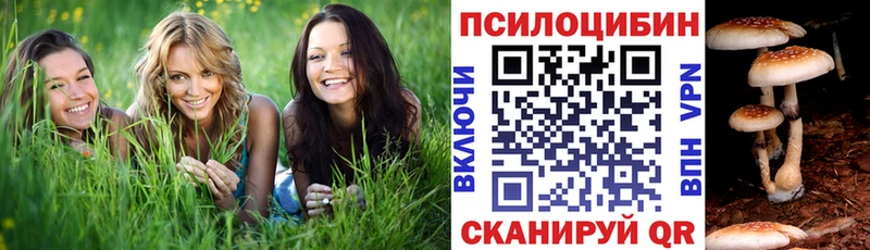 Галлюциногенные грибы Psilocybine cubensis Бронницы